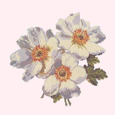 Anemone Needlepoint Kit Kits Elizabeth Bradley Design Cream 
