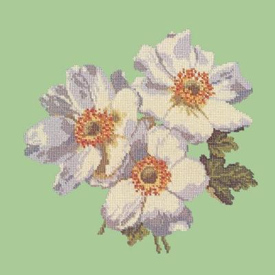 Anemone Needlepoint Kit Kits Elizabeth Bradley Design Pale Green 