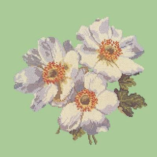 Anemone Needlepoint Kit Kits Elizabeth Bradley Design Pale Green 
