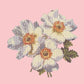 Anemone Needlepoint Kit Kits Elizabeth Bradley Design Pale Rose 
