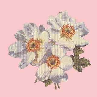 Anemone Needlepoint Kit Kits Elizabeth Bradley Design Pale Rose 
