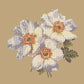 Anemone Needlepoint Kit Kits Elizabeth Bradley Design Sand 