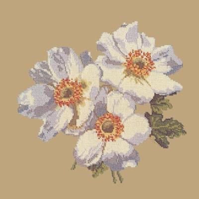 Anemone Needlepoint Kit Kits Elizabeth Bradley Design Sand 