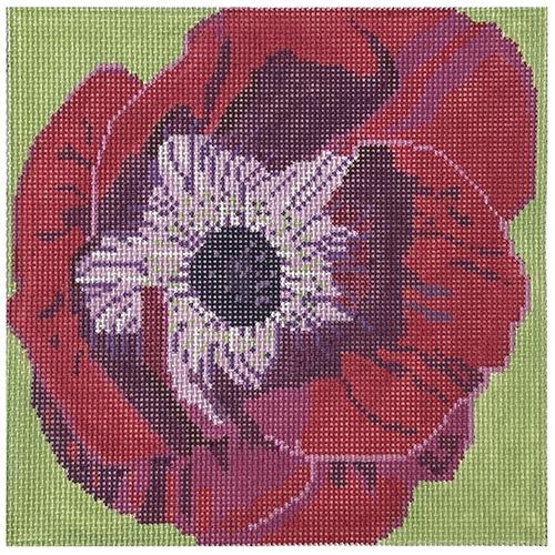 Anemone Painted Canvas Blue Ridge Stitchery 