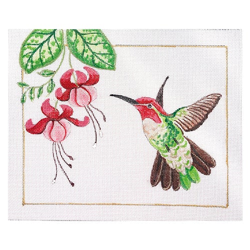 Anna's Hummingbird with Border Painted Canvas Chris Lewis Distributing 