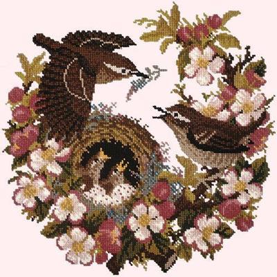 Apple Blossom Needlepoint Kit Kits Elizabeth Bradley Design Cream 