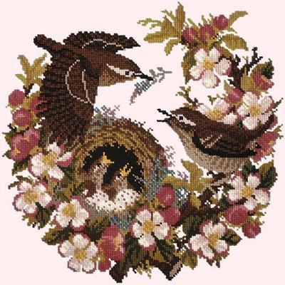 Apple Blossom Needlepoint Kit Kits Elizabeth Bradley Design Cream 
