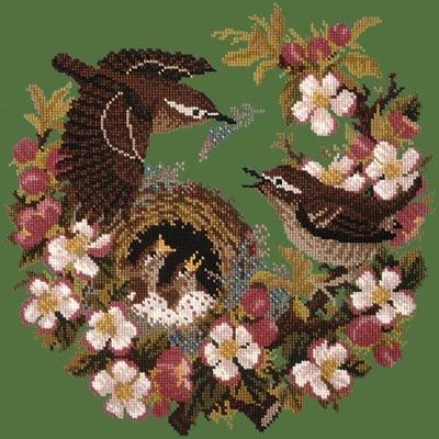 Apple Blossom Needlepoint Kit Kits Elizabeth Bradley Design Dark Green 