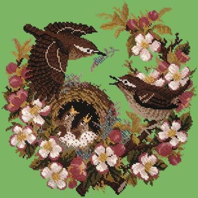 Apple Blossom Needlepoint Kit Kits Elizabeth Bradley Design Grass Green 