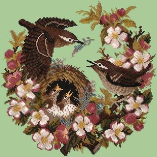 Apple Blossom Needlepoint Kit Kits Elizabeth Bradley Design Pale Green 
