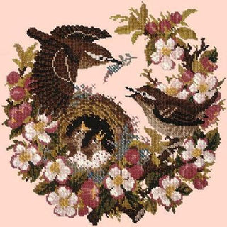Apple Blossom Needlepoint Kit Kits Elizabeth Bradley Design Salmon Pink 
