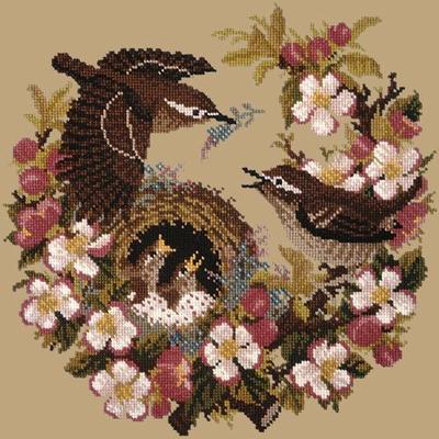 Apple Blossom Needlepoint Kit Kits Elizabeth Bradley Design Sand 