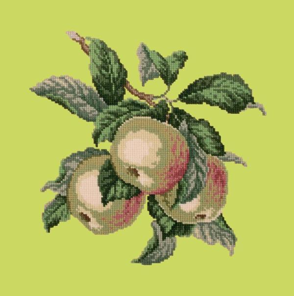 Apples Needlepoint Kit Kits Elizabeth Bradley Design 