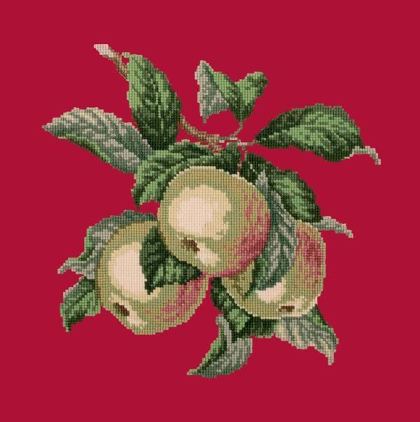 Apples Needlepoint Kit Kits Elizabeth Bradley Design 
