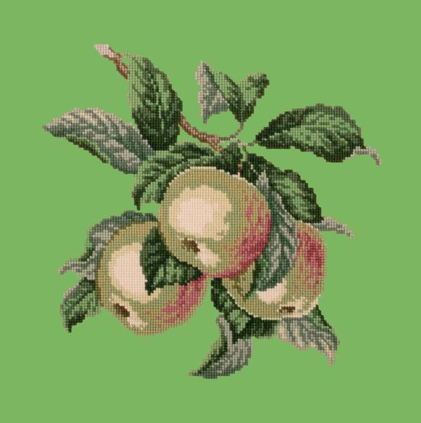 Apples Needlepoint Kit Kits Elizabeth Bradley Design 