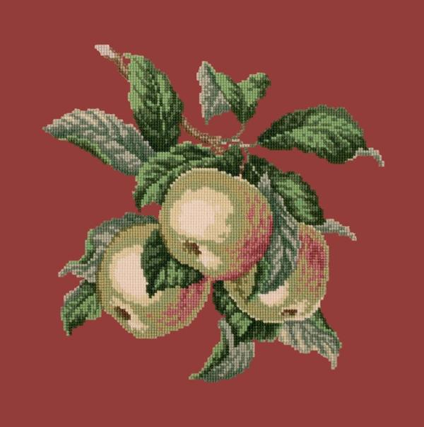 Apples Needlepoint Kit Kits Elizabeth Bradley Design 