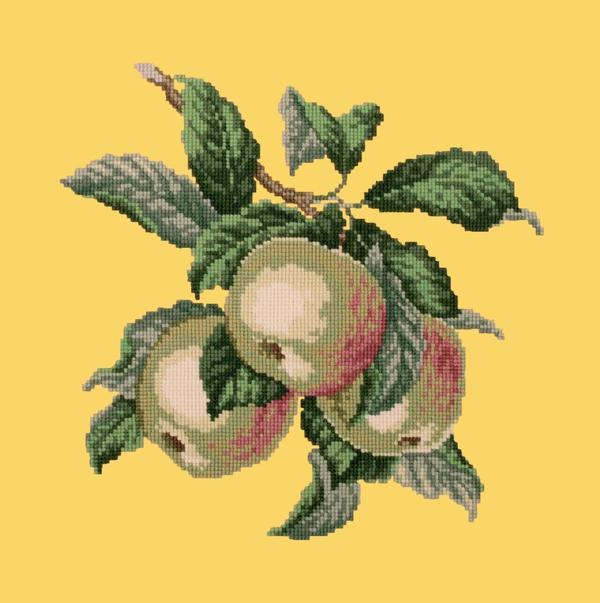 Apples Needlepoint Kit Kits Elizabeth Bradley Design 
