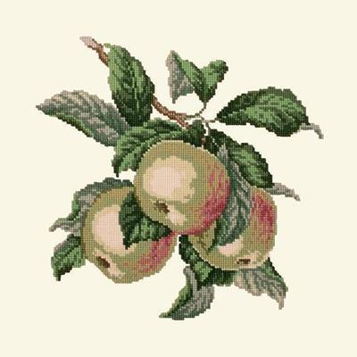 Apples Needlepoint Kit Kits Elizabeth Bradley Design 