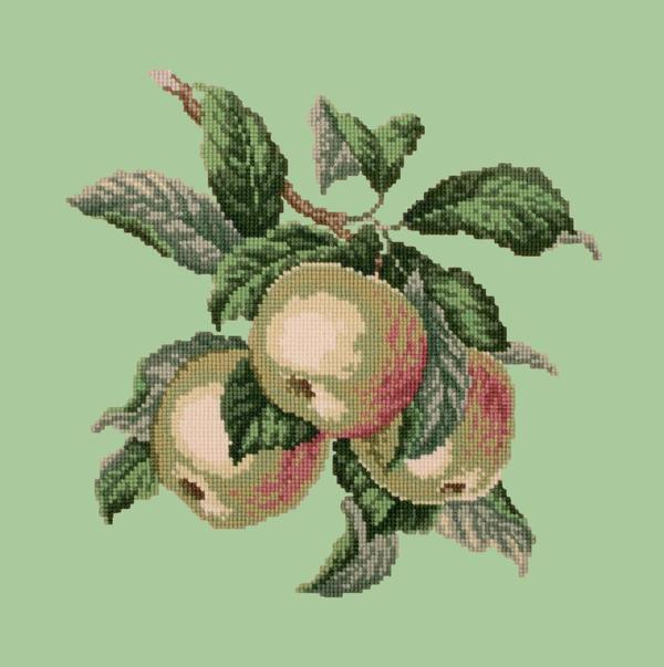Apples Needlepoint Kit Kits Elizabeth Bradley Design 
