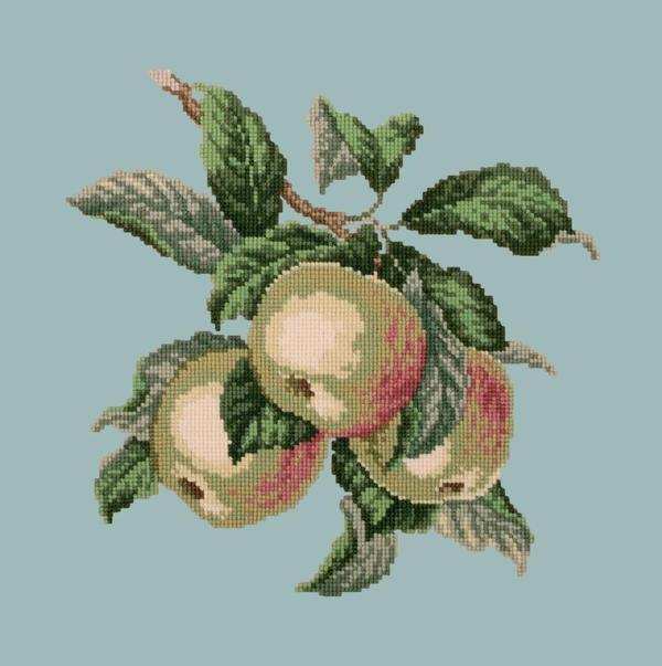 Apples Needlepoint Kit Kits Elizabeth Bradley Design 
