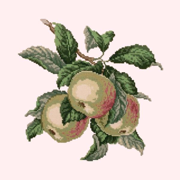 Apples Needlepoint Kit Kits Elizabeth Bradley Design 

