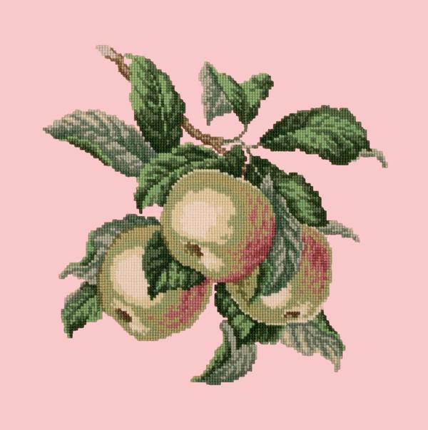 Apples Needlepoint Kit Kits Elizabeth Bradley Design 
