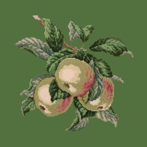 Apples Needlepoint Kit Kits Elizabeth Bradley Design 