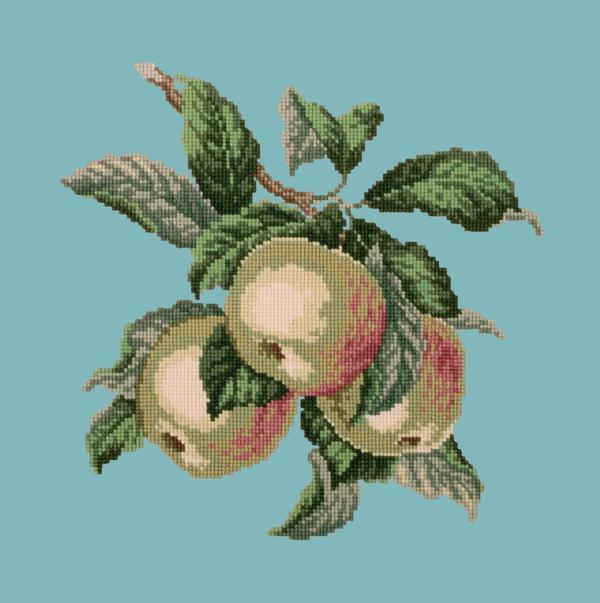 Apples Needlepoint Kit Kits Elizabeth Bradley Design 