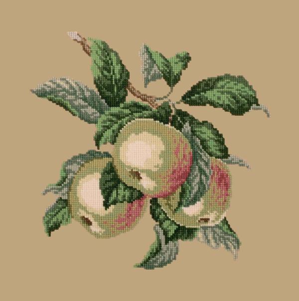 Apples Needlepoint Kit Kits Elizabeth Bradley Design 
