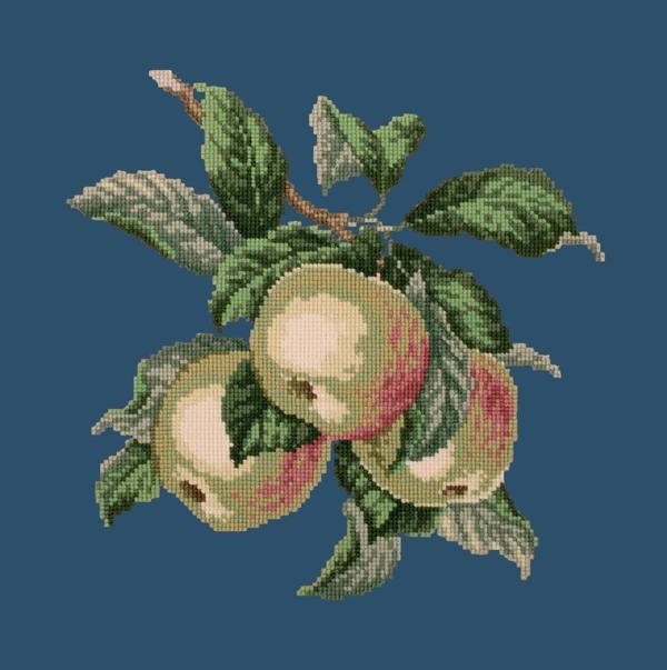 Apples Needlepoint Kit Kits Elizabeth Bradley Design 
