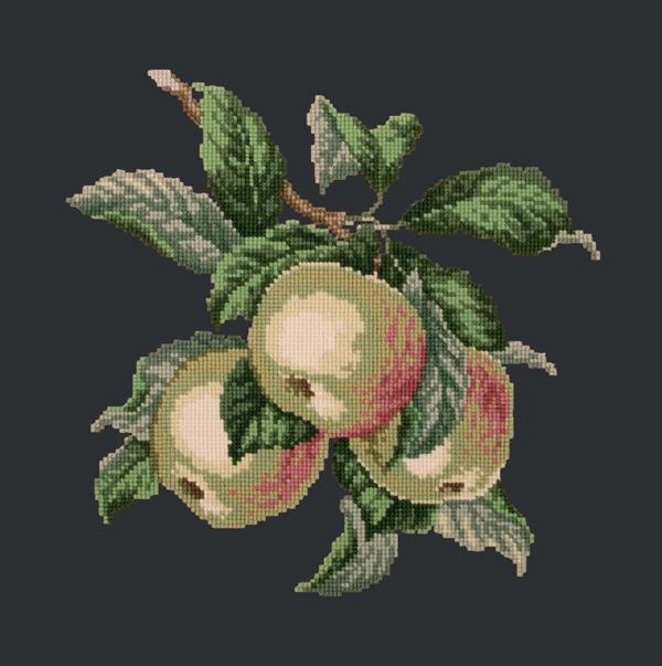 Apples Needlepoint Kit Kits Elizabeth Bradley Design 