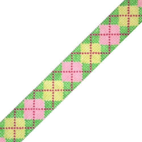 Argyle Belt - Grassy Background with Lime/Pink/Dark Pink on 14 Painted Canvas The Meredith Collection 