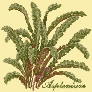 Asplenium Needlepoint Kit Kits Elizabeth Bradley Design Butter Yellow 
