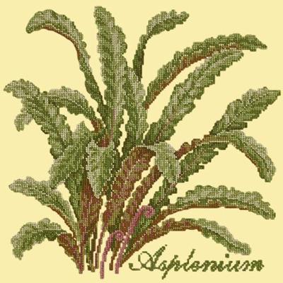 Asplenium Needlepoint Kit Kits Elizabeth Bradley Design Butter Yellow 
