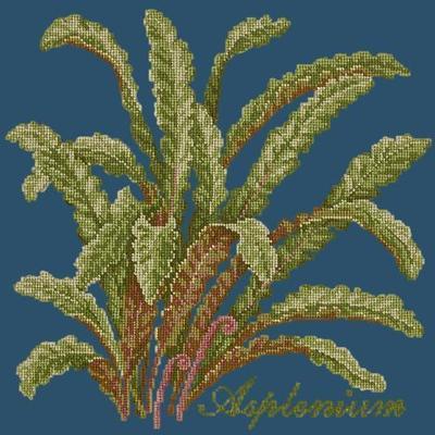 Asplenium Needlepoint Kit Kits Elizabeth Bradley Design Dark Blue 
