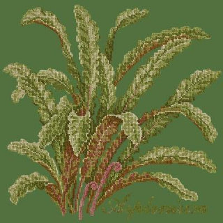 Asplenium Needlepoint Kit Kits Elizabeth Bradley Design Dark Green 
