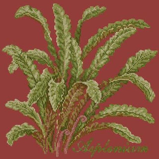 Asplenium Needlepoint Kit Kits Elizabeth Bradley Design Dark Red 
