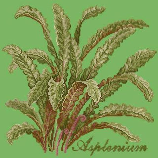 Asplenium Needlepoint Kit Kits Elizabeth Bradley Design Grass Green 
