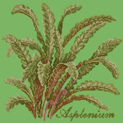 Asplenium Needlepoint Kit Kits Elizabeth Bradley Design Grass Green 
