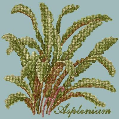Asplenium Needlepoint Kit Kits Elizabeth Bradley Design Pale Blue 
