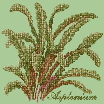 Asplenium Needlepoint Kit Kits Elizabeth Bradley Design Pale Green 
