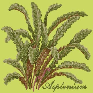 Asplenium Needlepoint Kit Kits Elizabeth Bradley Design Pale Lime 
