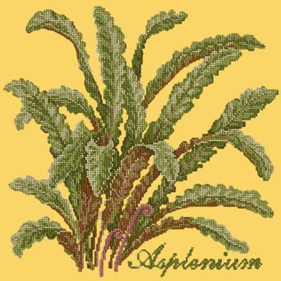 Asplenium Needlepoint Kit Kits Elizabeth Bradley Design Sunflower Yellow 
