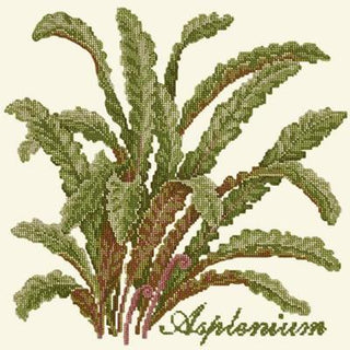 Asplenium Needlepoint Kit Kits Elizabeth Bradley Design Winter White 
