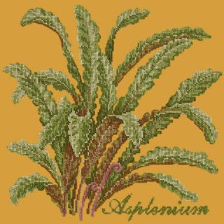 Asplenium Needlepoint Kit Kits Elizabeth Bradley Design Yellow 
