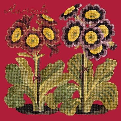 Auricula Needlepoint Kit Kits Elizabeth Bradley Design Bright Red 
