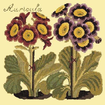 Auricula Needlepoint Kit Kits Elizabeth Bradley Design Butter Yellow 
