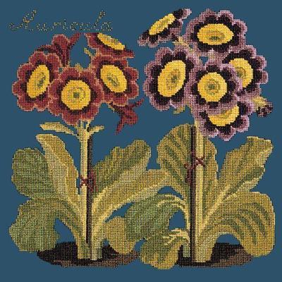 Auricula Needlepoint Kit Kits Elizabeth Bradley Design Dark Blue 
