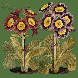 Auricula Needlepoint Kit Kits Elizabeth Bradley Design Dark Green 
