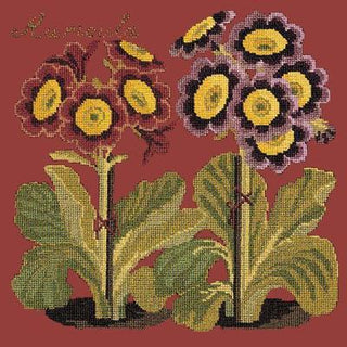 Auricula Needlepoint Kit Kits Elizabeth Bradley Design Dark Red 
